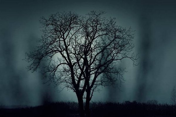 Les costumes d'Halloween les plus originaux et les plus populaires